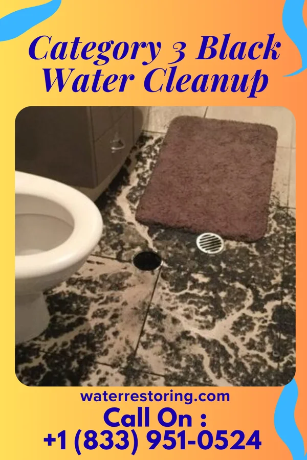 Category 3 Black Water Cleanup in Deer Creek, OK