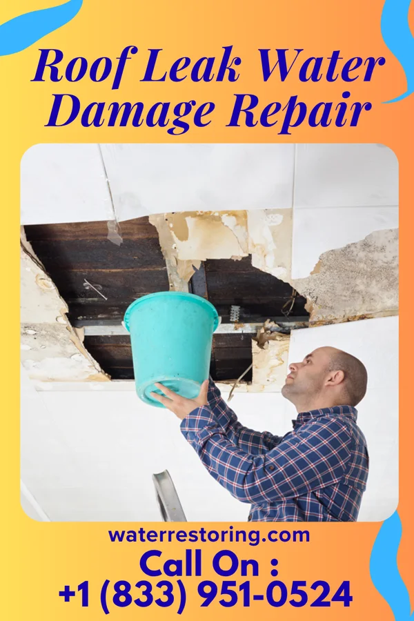 Roof Leak Water Damage Repair in Deer Creek, OK